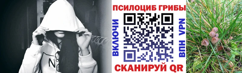 Купить  Урус-Мартан  Галлюциногенные грибы MAGIC MUSHROOMS 